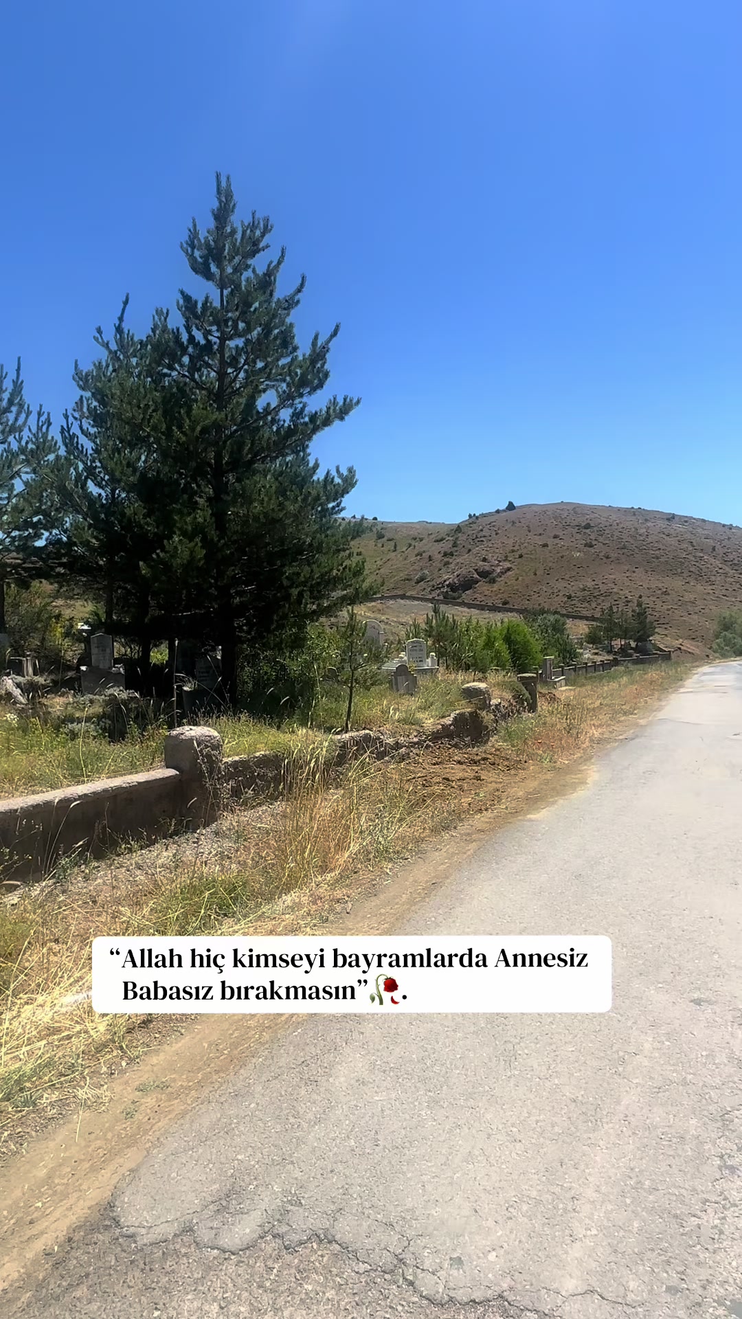 @58Tülay34