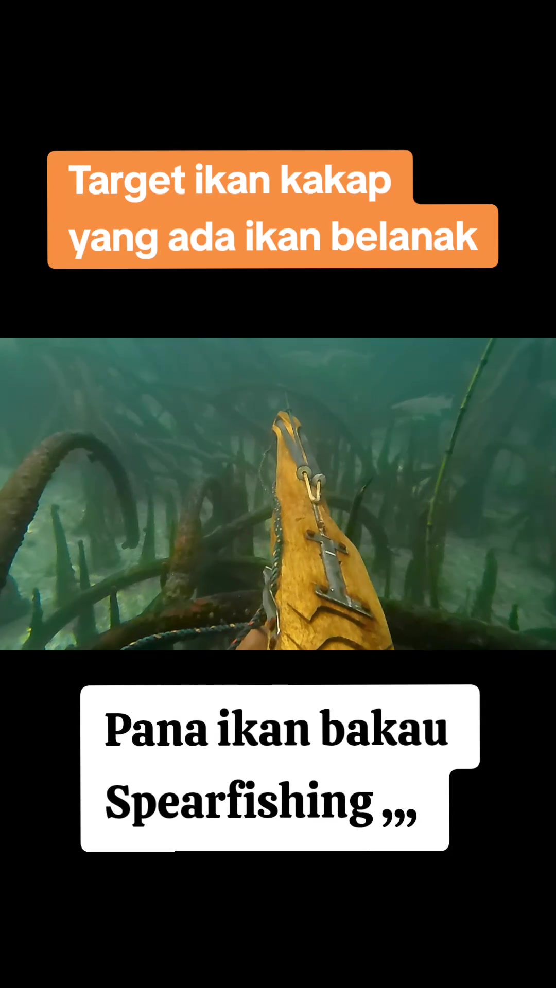 @Riswandhy