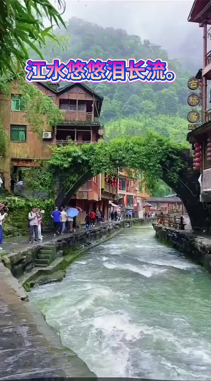 @美丽的世界
