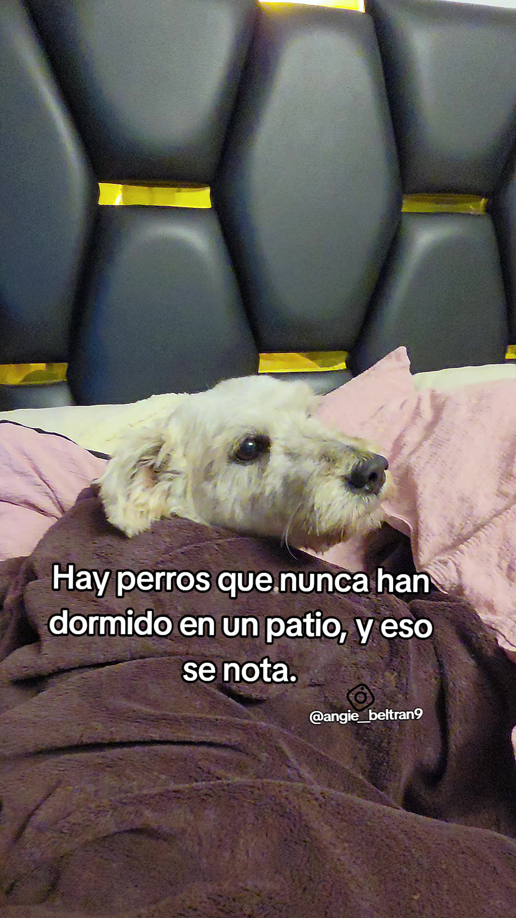 @Angie Beltrán