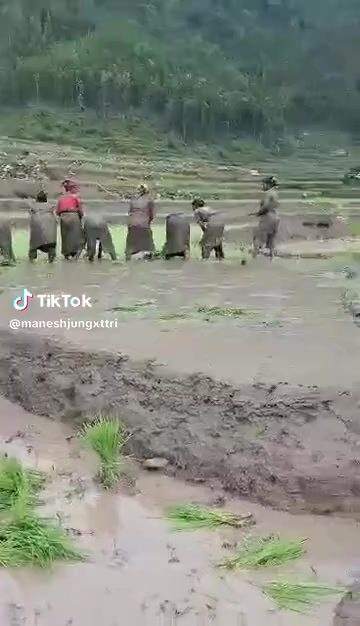 @🙏🎵