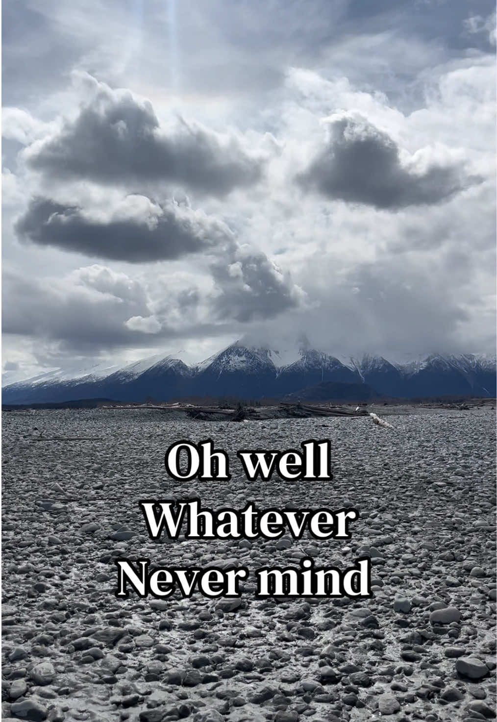 @Chasey Campbell 🏔️🕷️🐾