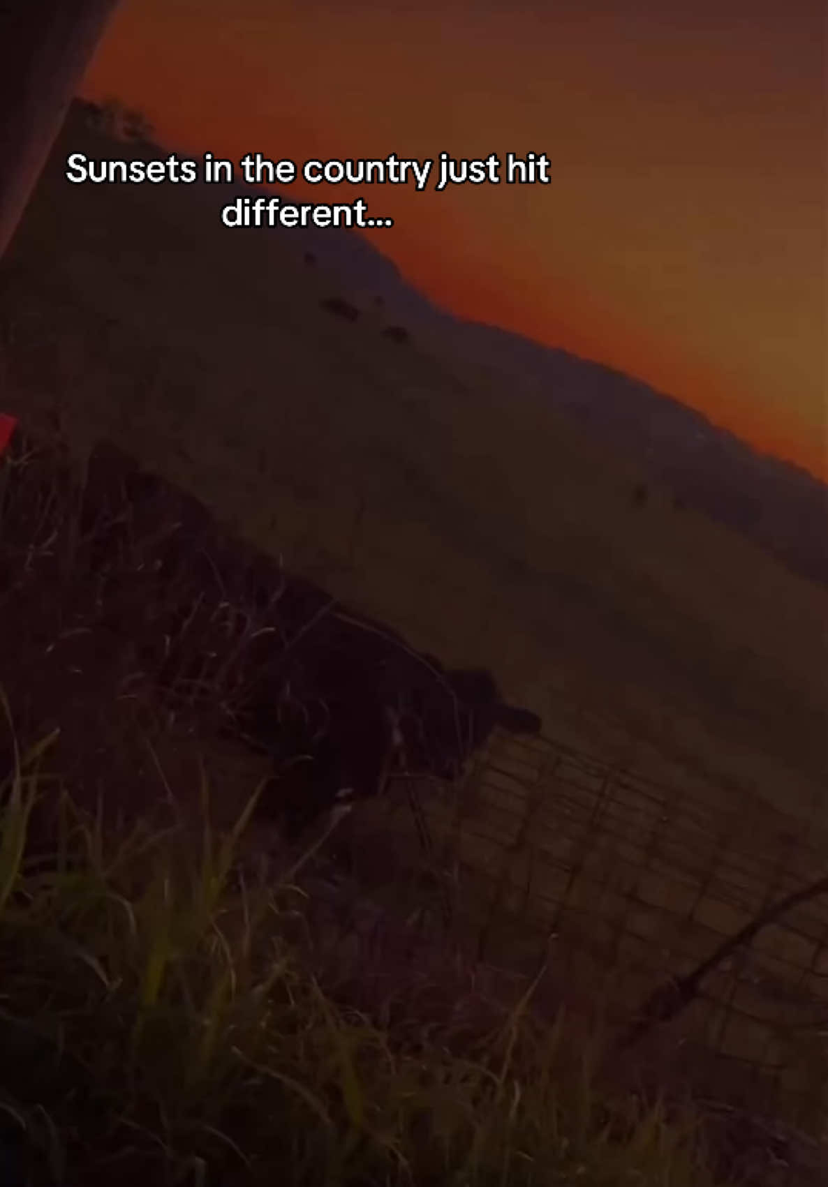 @𝓒𝓱𝓮𝔂