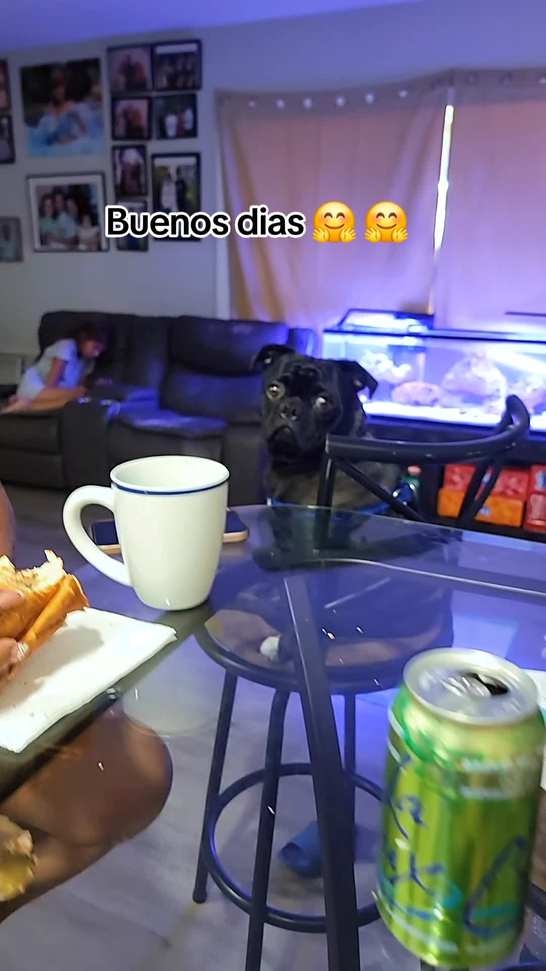 @Claribella 🦋🦋