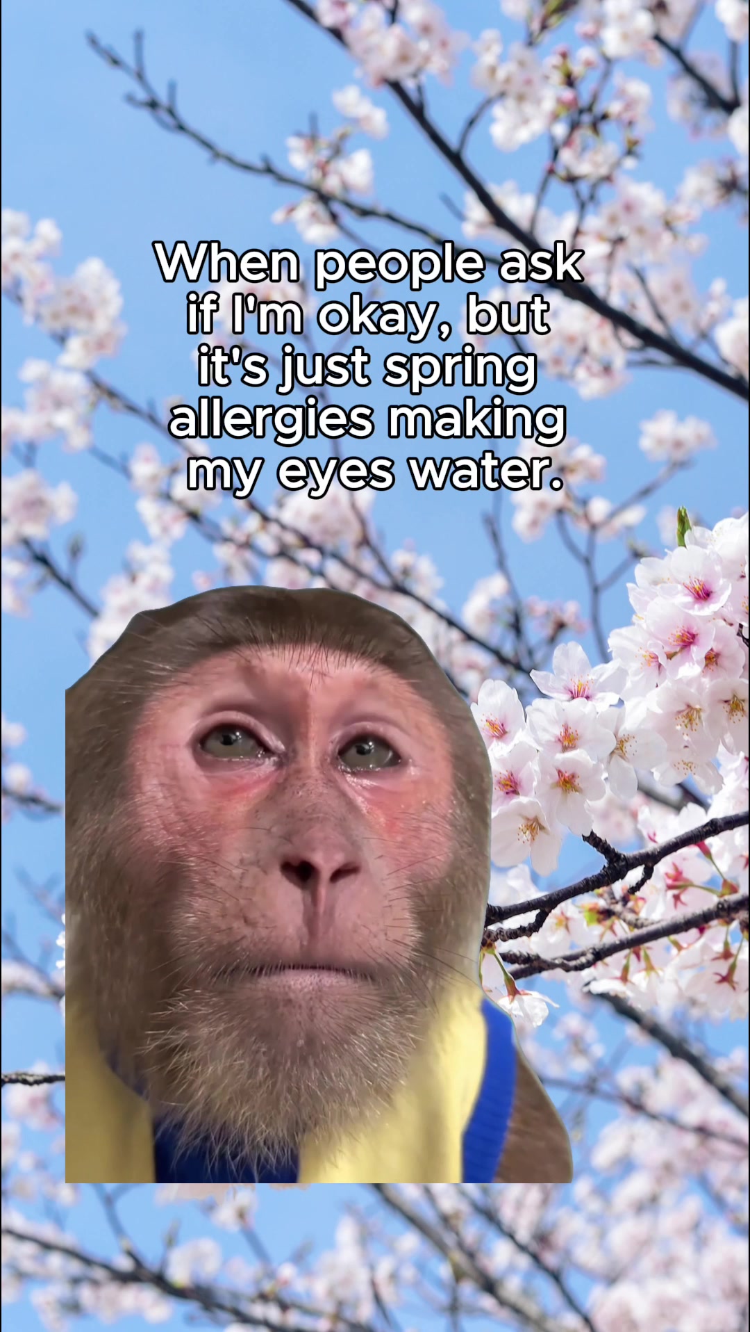 @OhioENTandAllergy