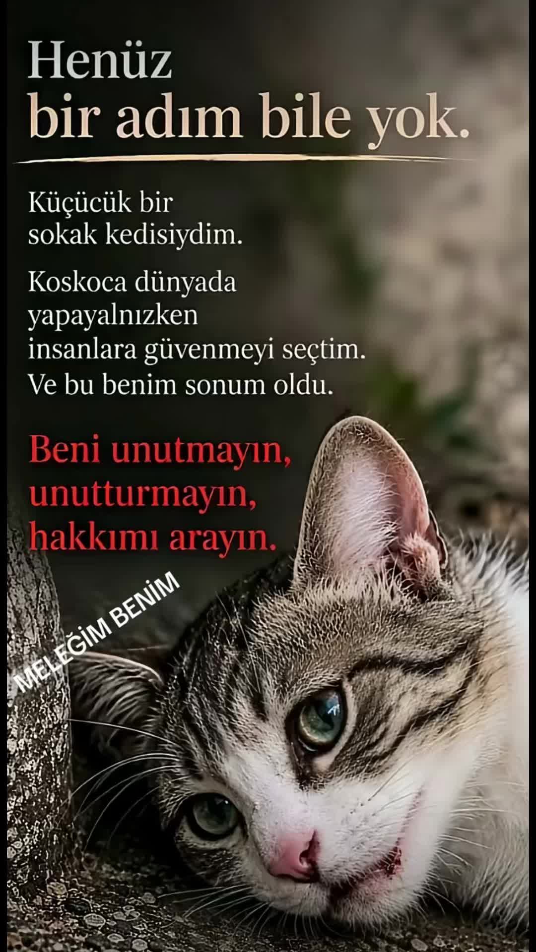 @Fadime🌟