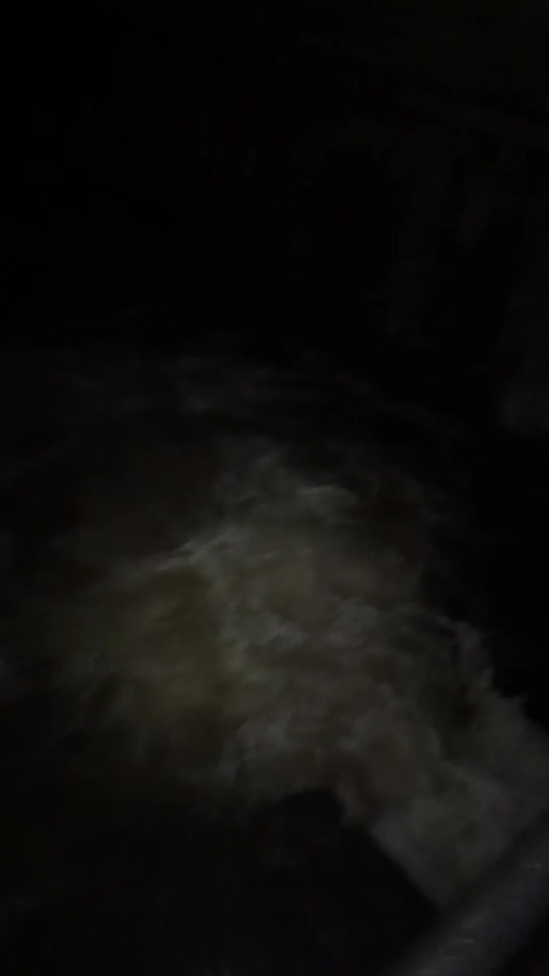 @Ali🦖