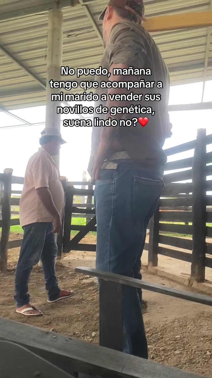 @Castañeda Rubio🐎