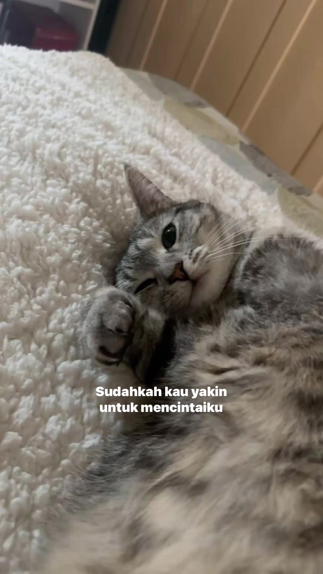 @^~^