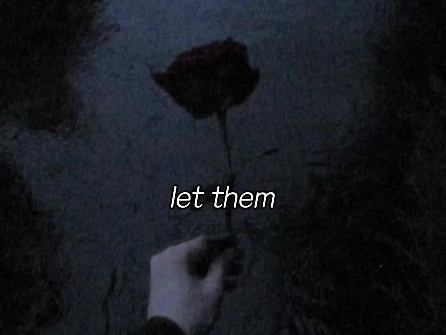 @Echo