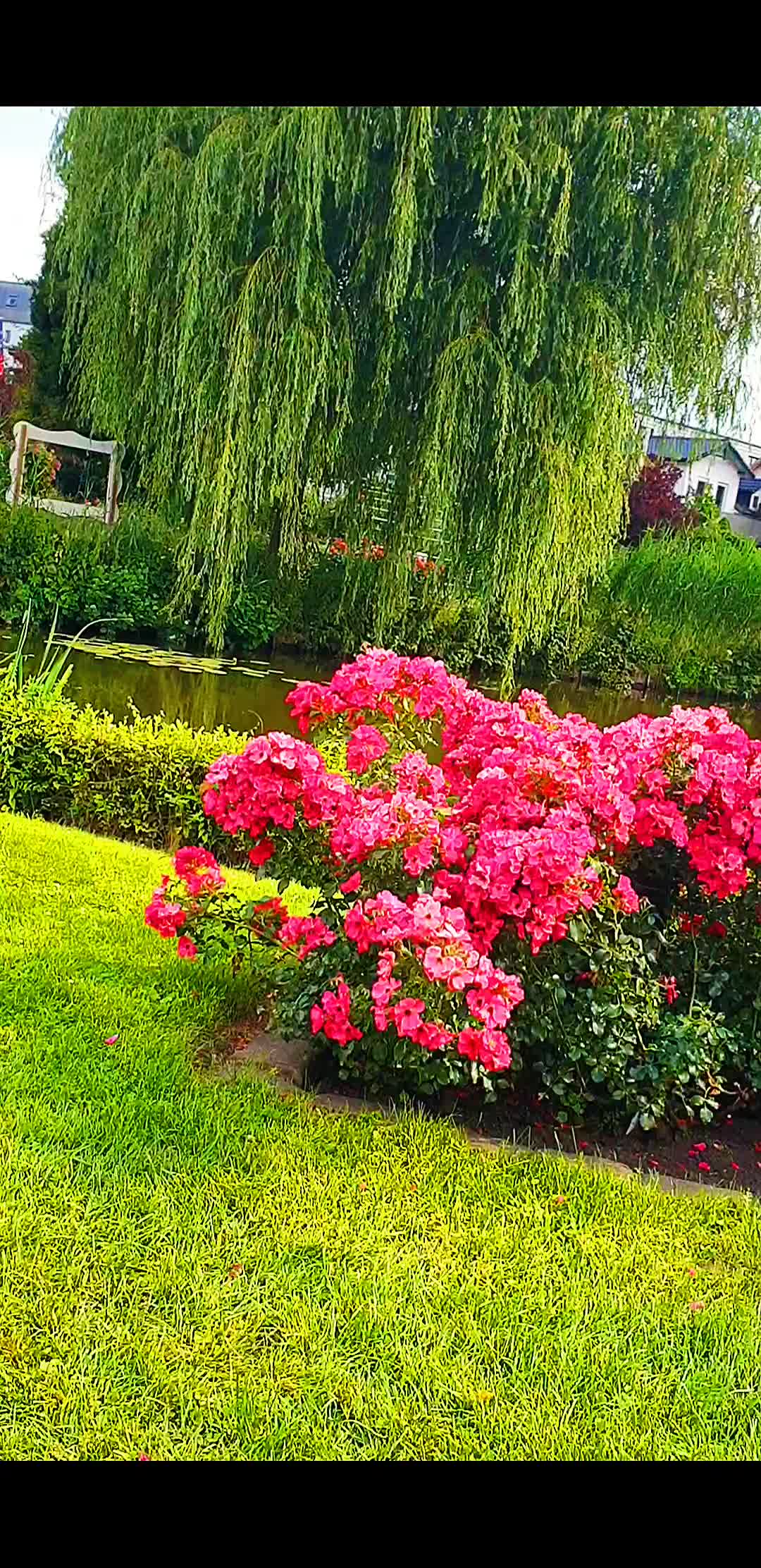 @شبهای تنهایی