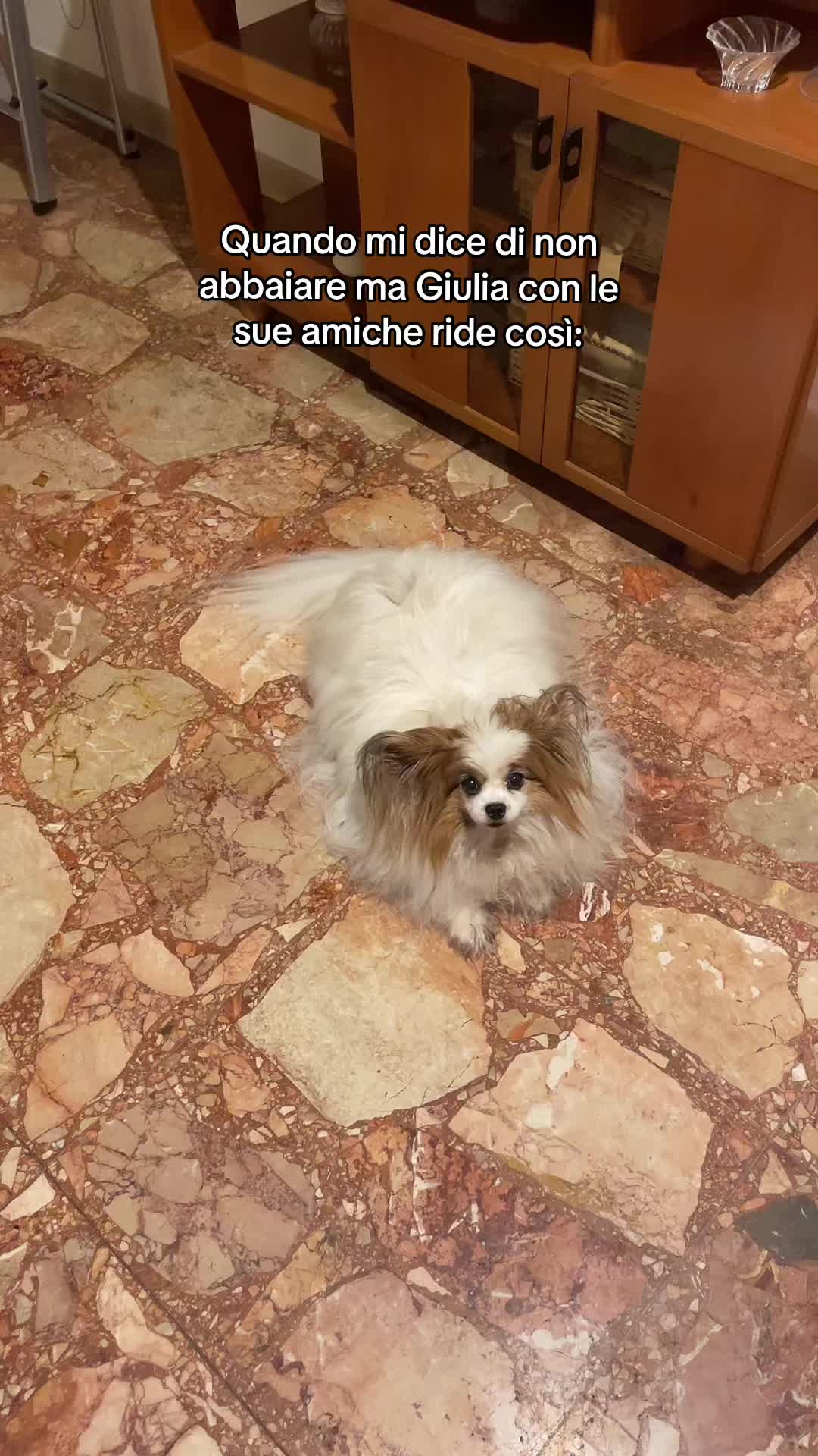 @giulia.gozzi_