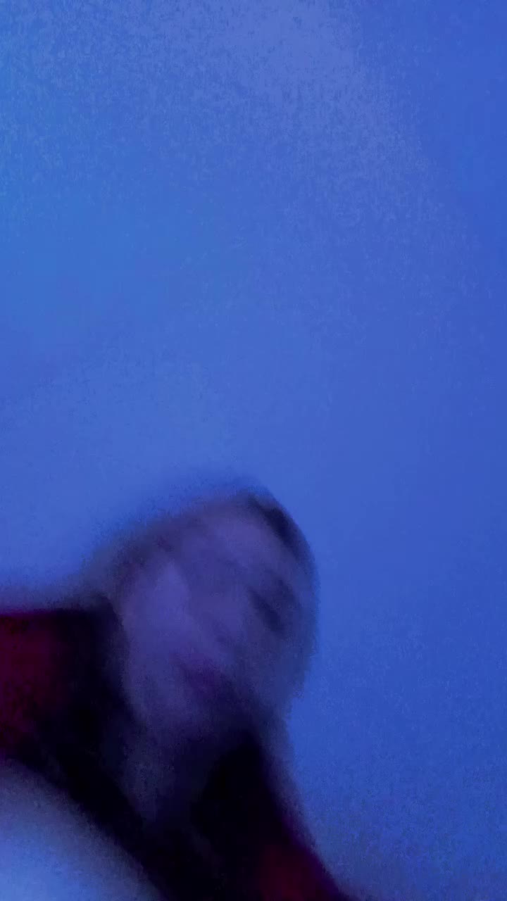@rumi