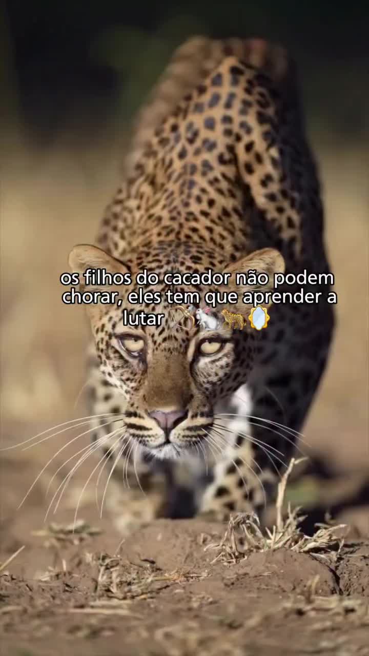 @Encantos da umbanda ©