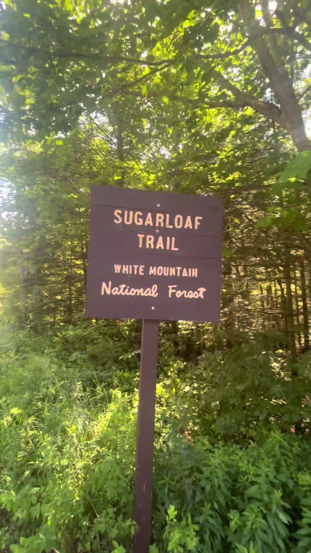 @💙The Sober Wanderer💙⛰️🥾🏕️