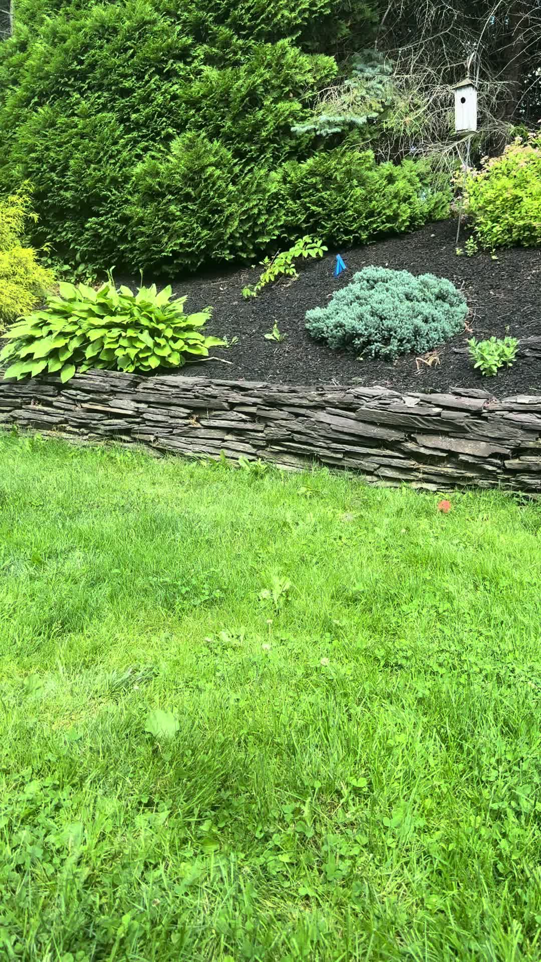 @DennisTheBlackLab