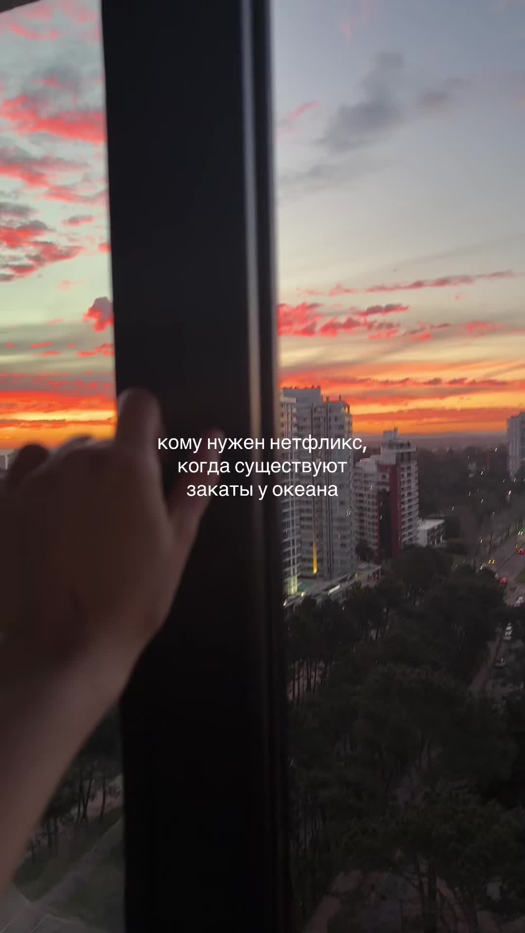 @диджитал бомж