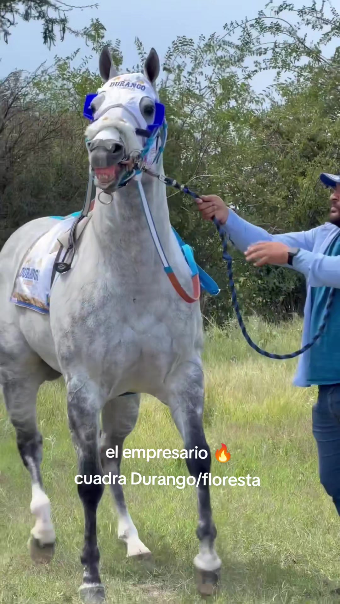 @carriles altos de jalisco🐎