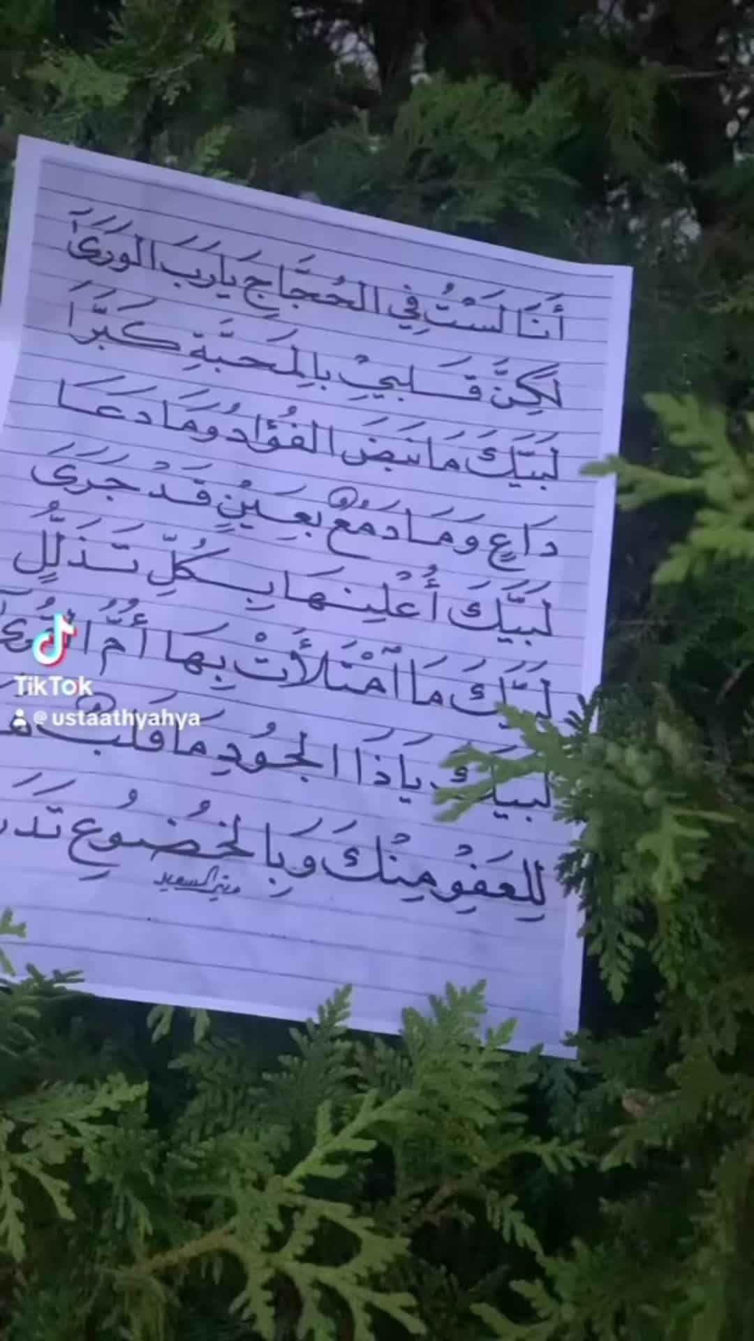 @An.naser