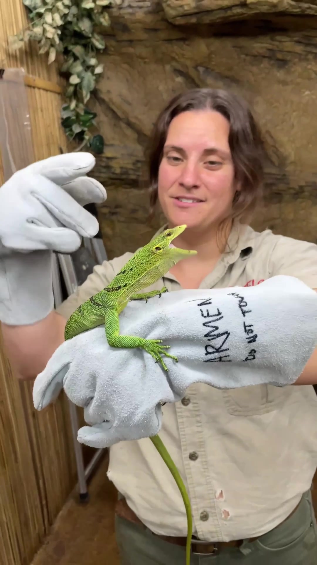 @The Reptile Zoo