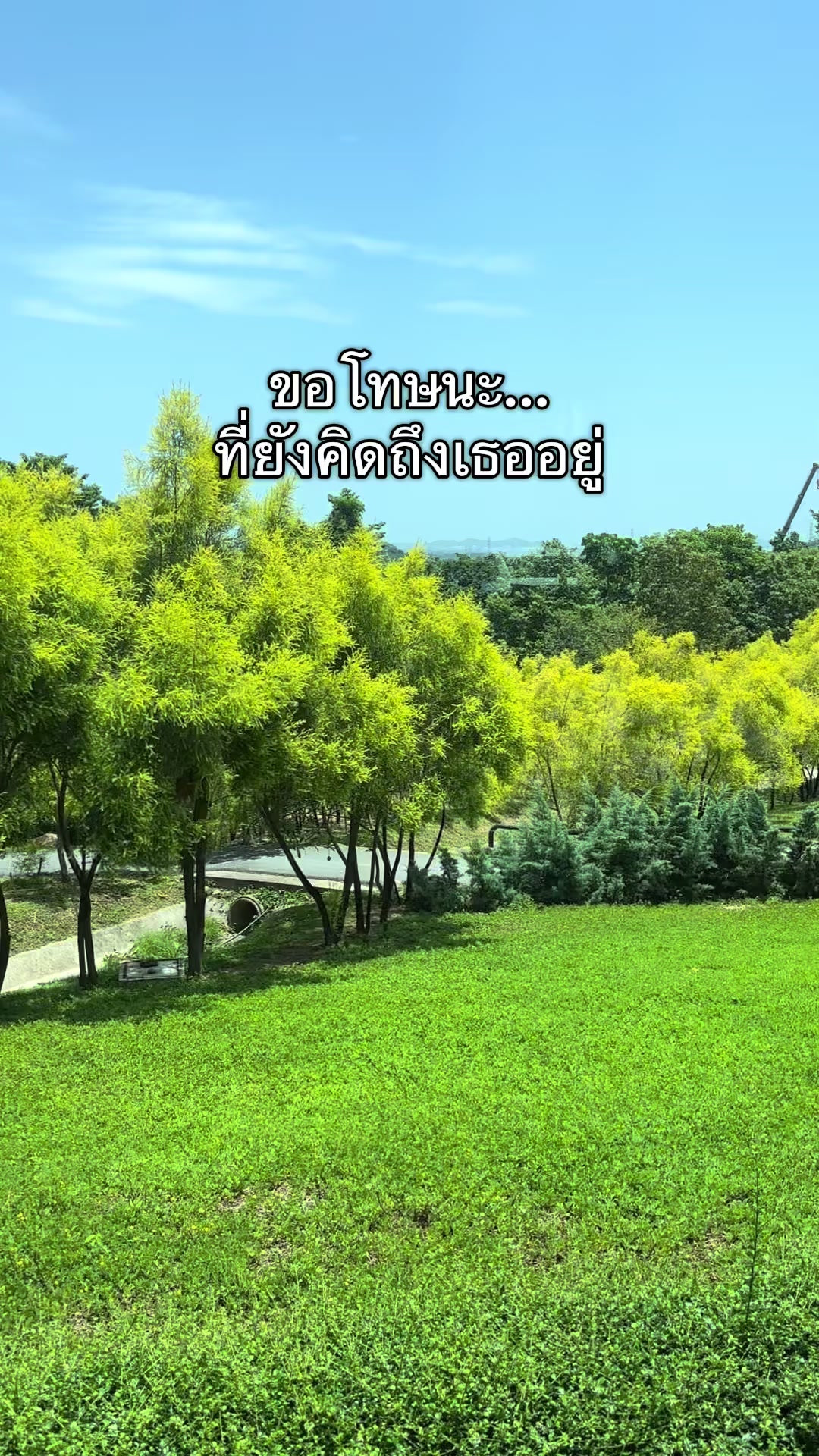 @T-story