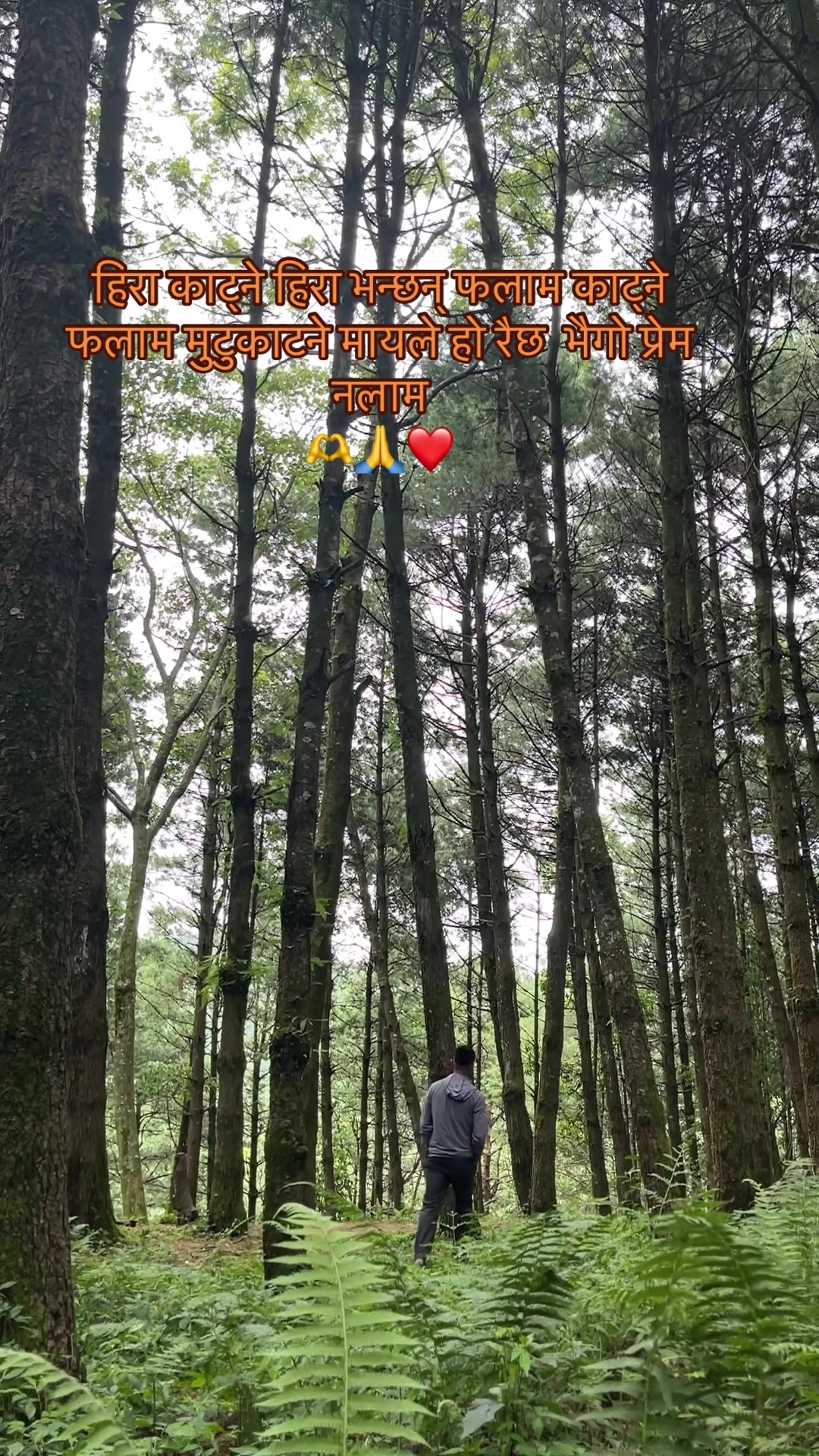@के सि ji🫀❤️🫶