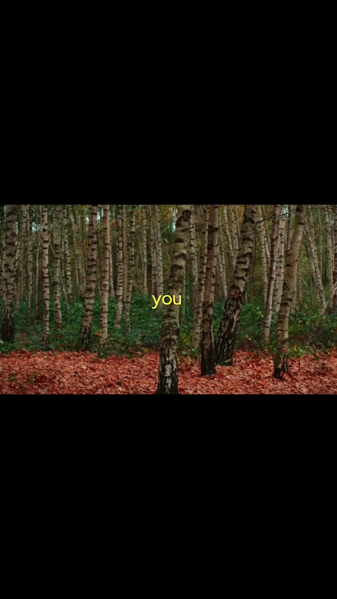 @Wyatt King
