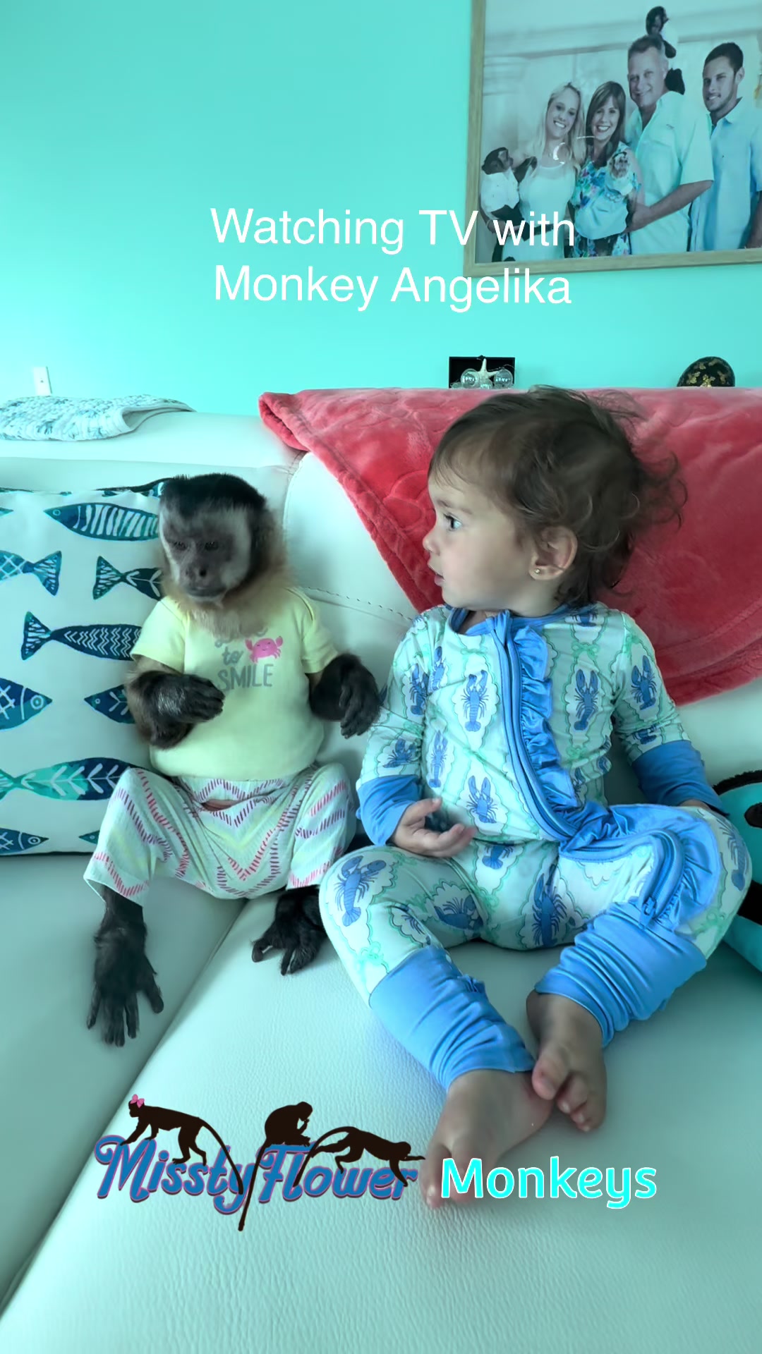 @MisstyFlower Monkeys