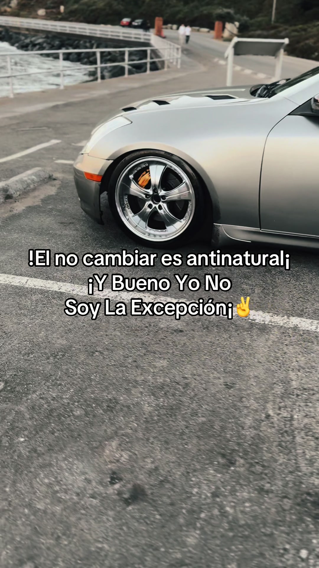 @FeliFeli