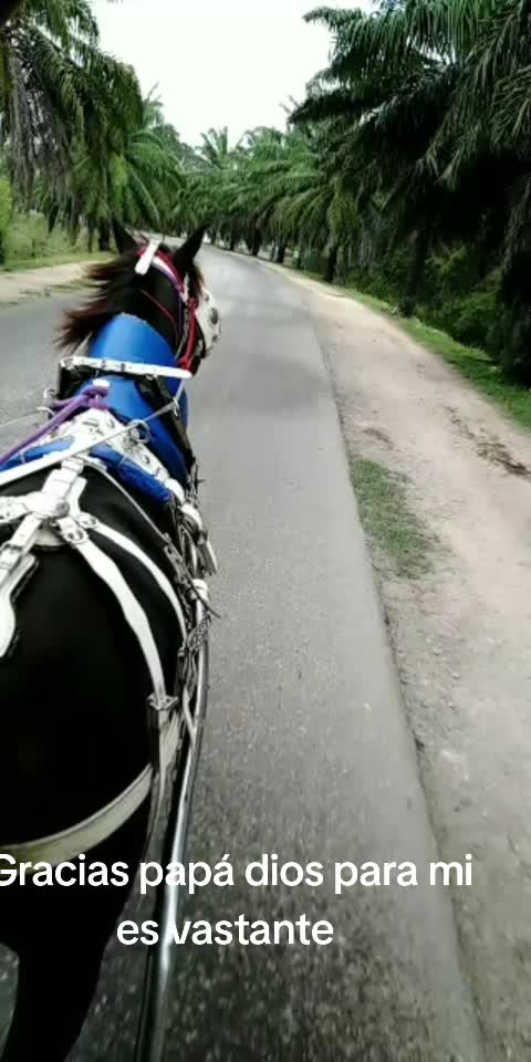 @orisbel