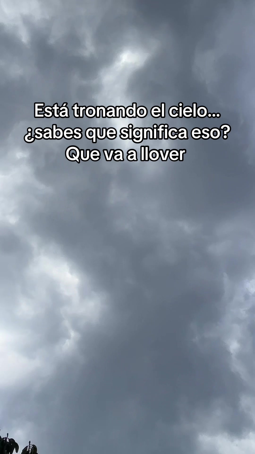 @Chely Glez