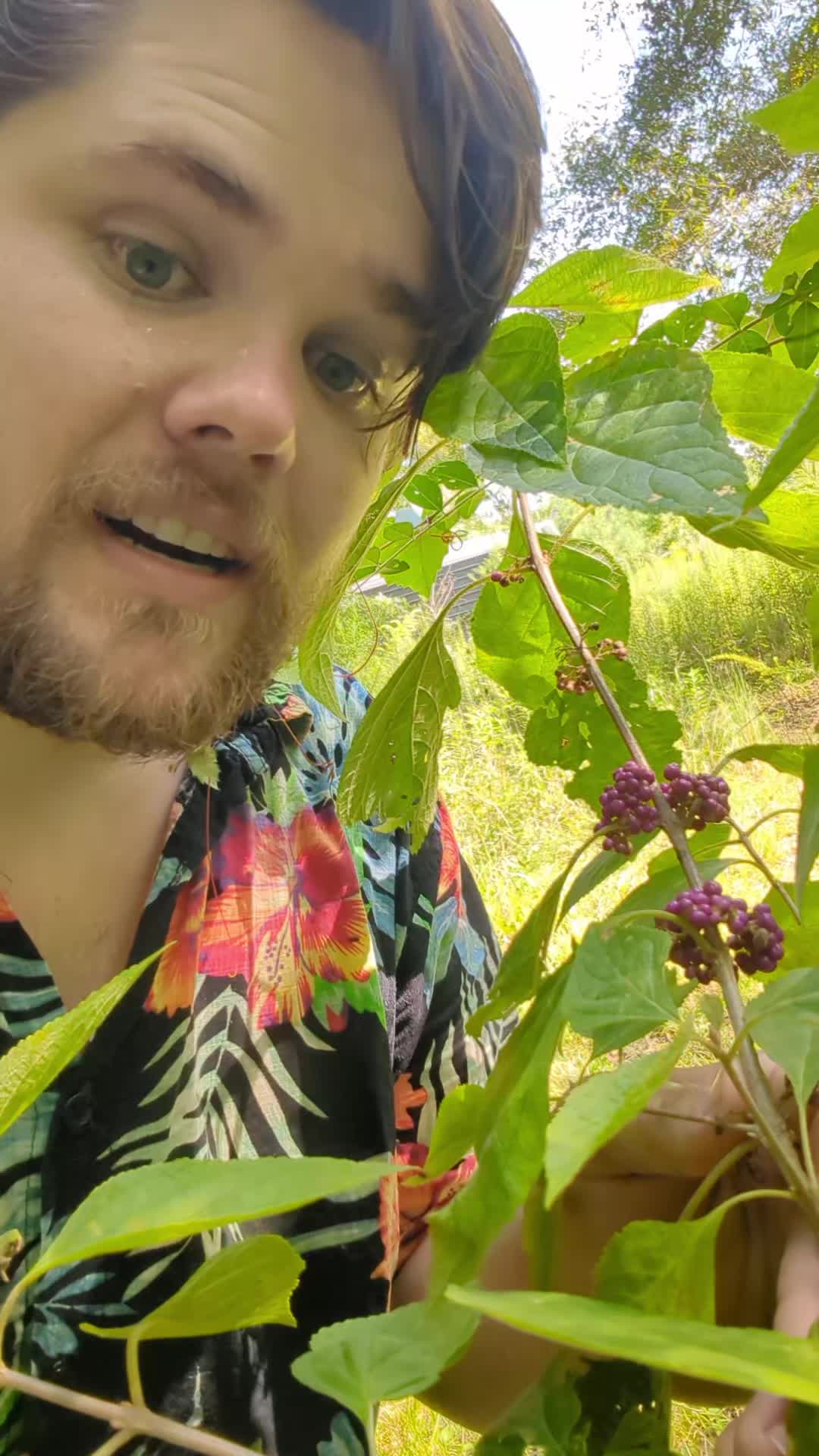 @Forage North America