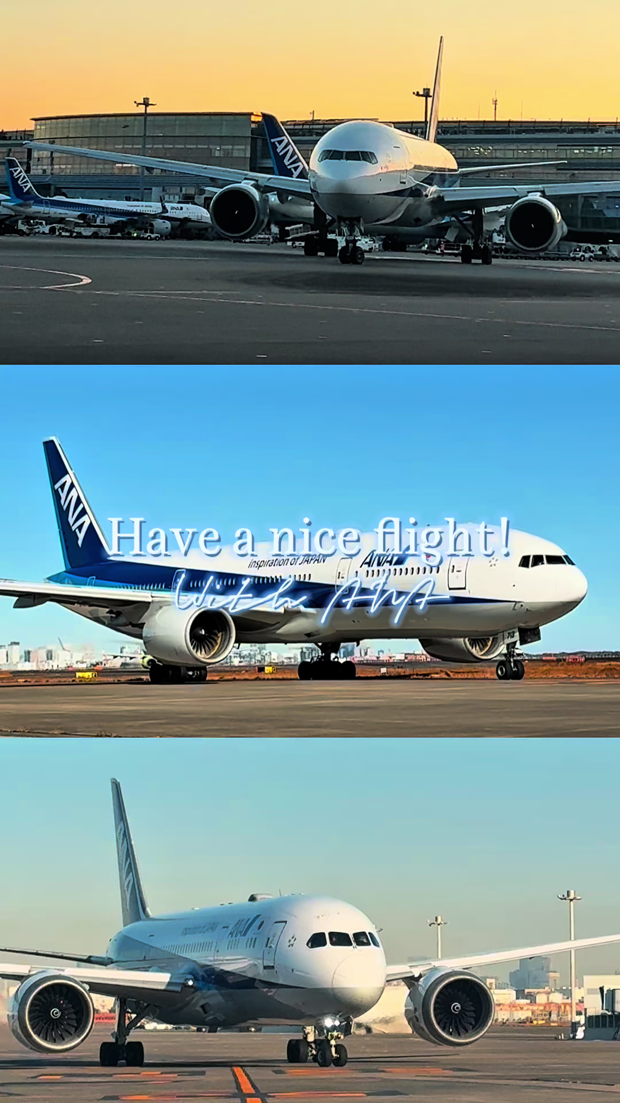@ANAð¯ðµâïž