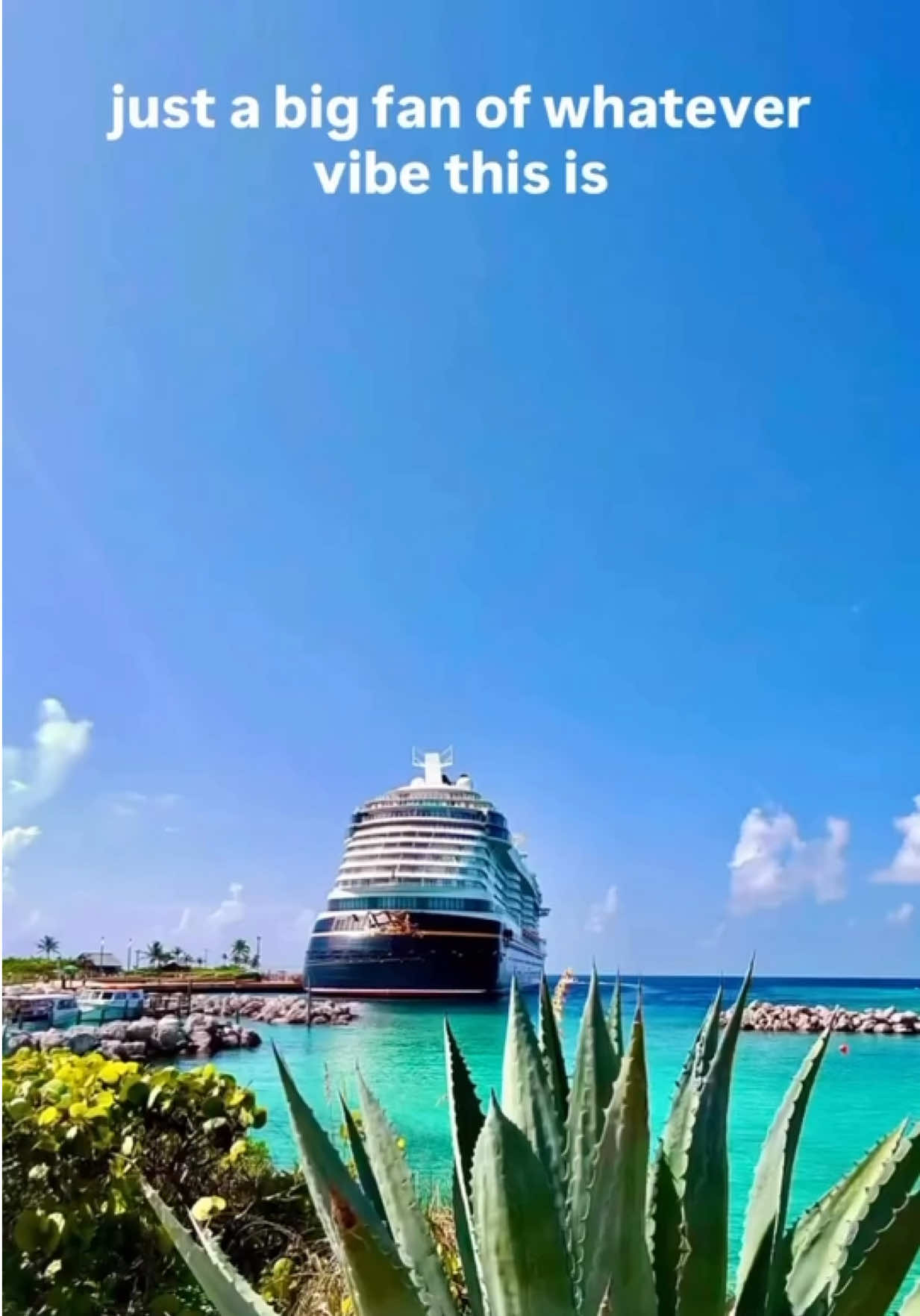 @Natasha Mickey World Travel
