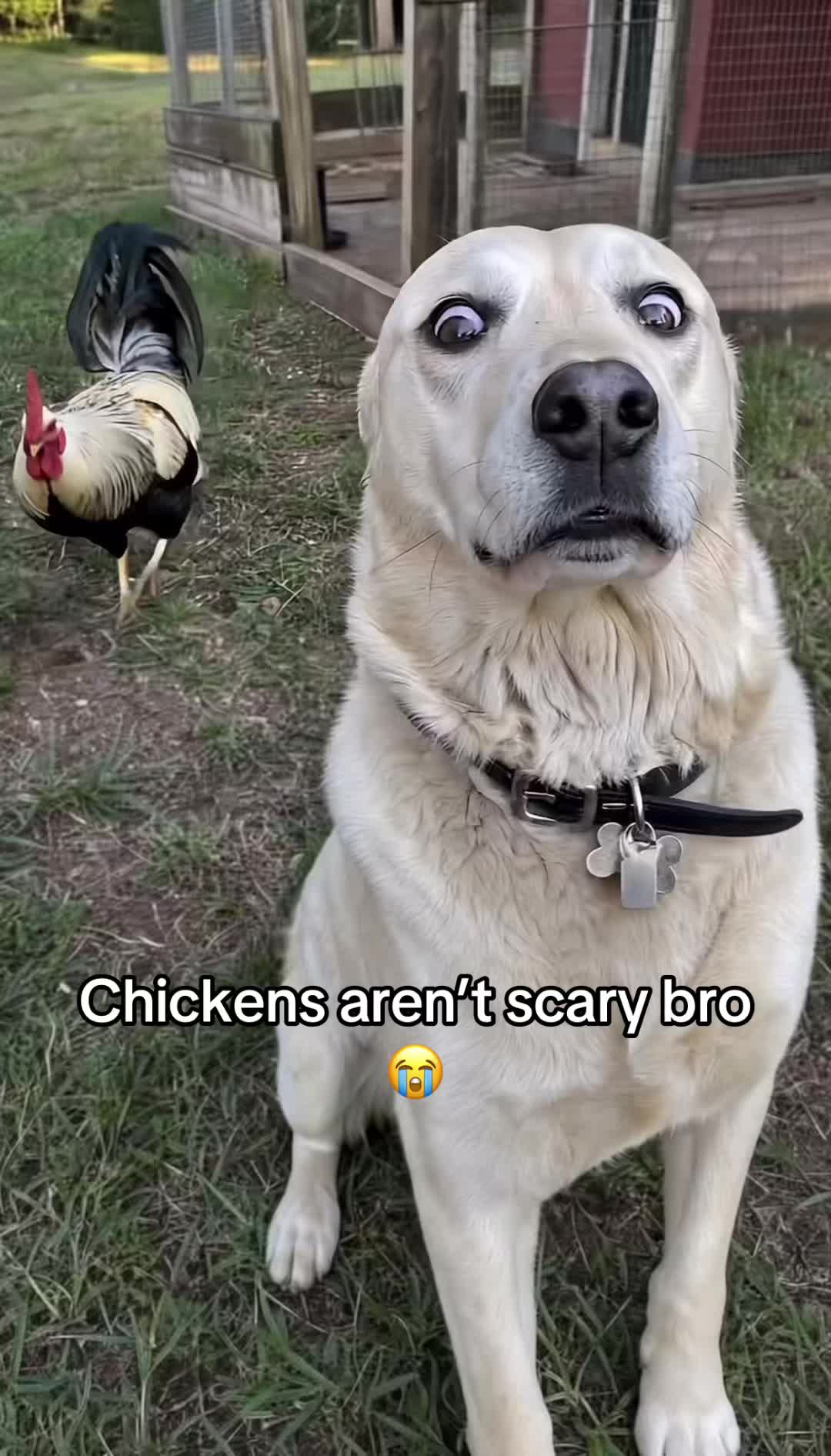 @Tim