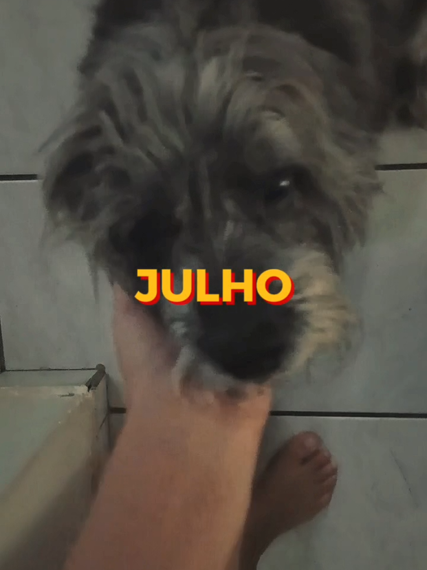 @Ana Araújo