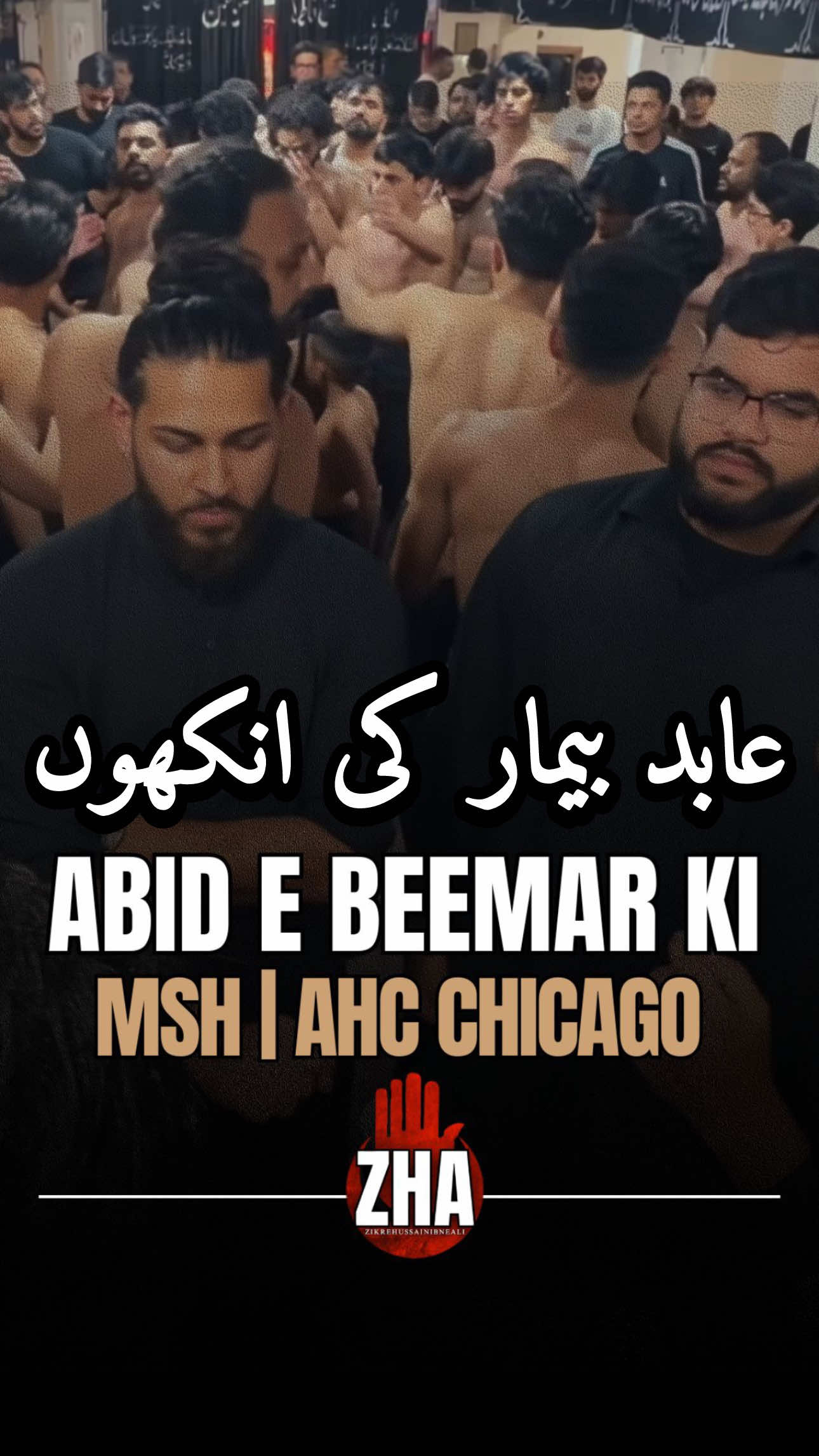 @Zikrehussainibneali