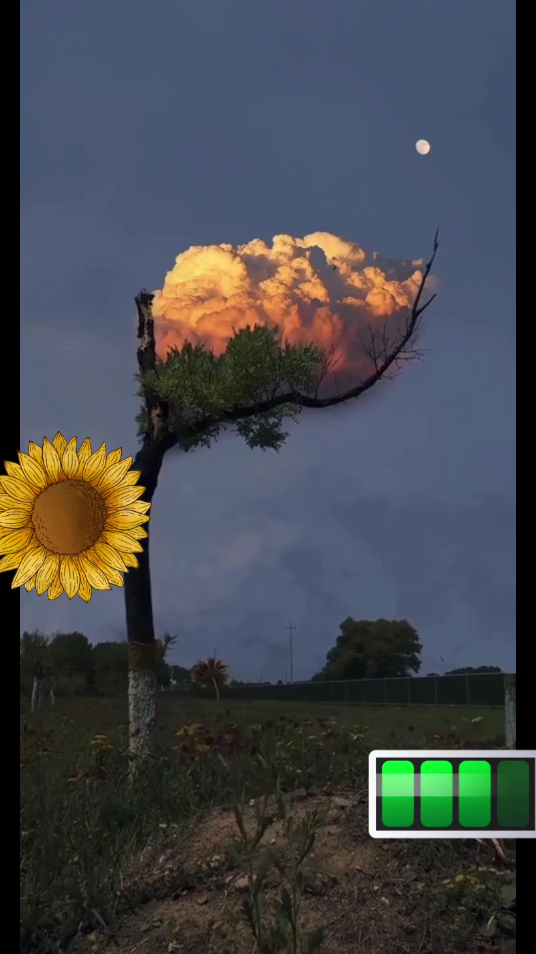 @𝓥𝓮𝓮𝓻🫀𝓥𝓲𝓳𝓪𝔂