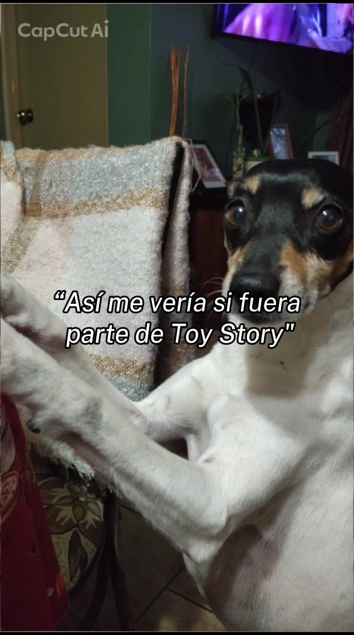 @Mister Ossie