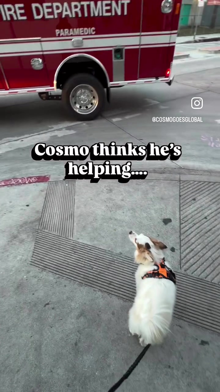 @cosmogoesglobal8