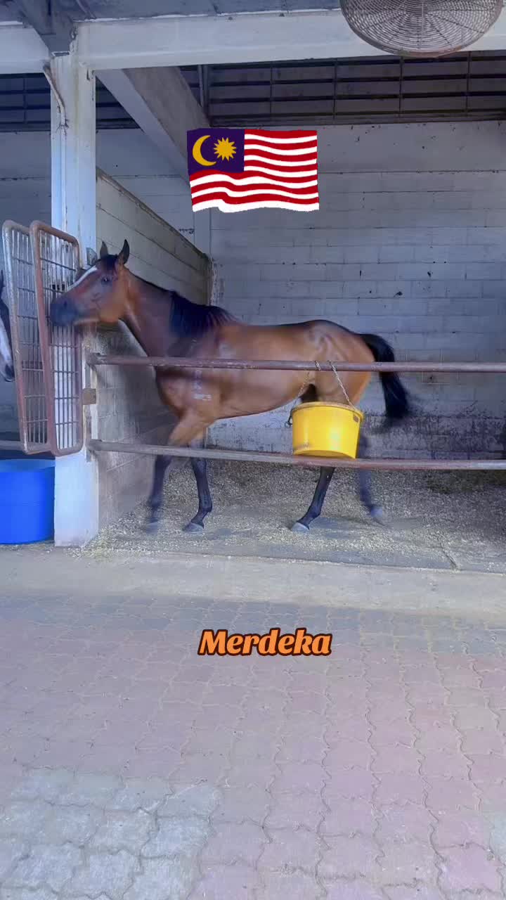 @❤️Maria❤️