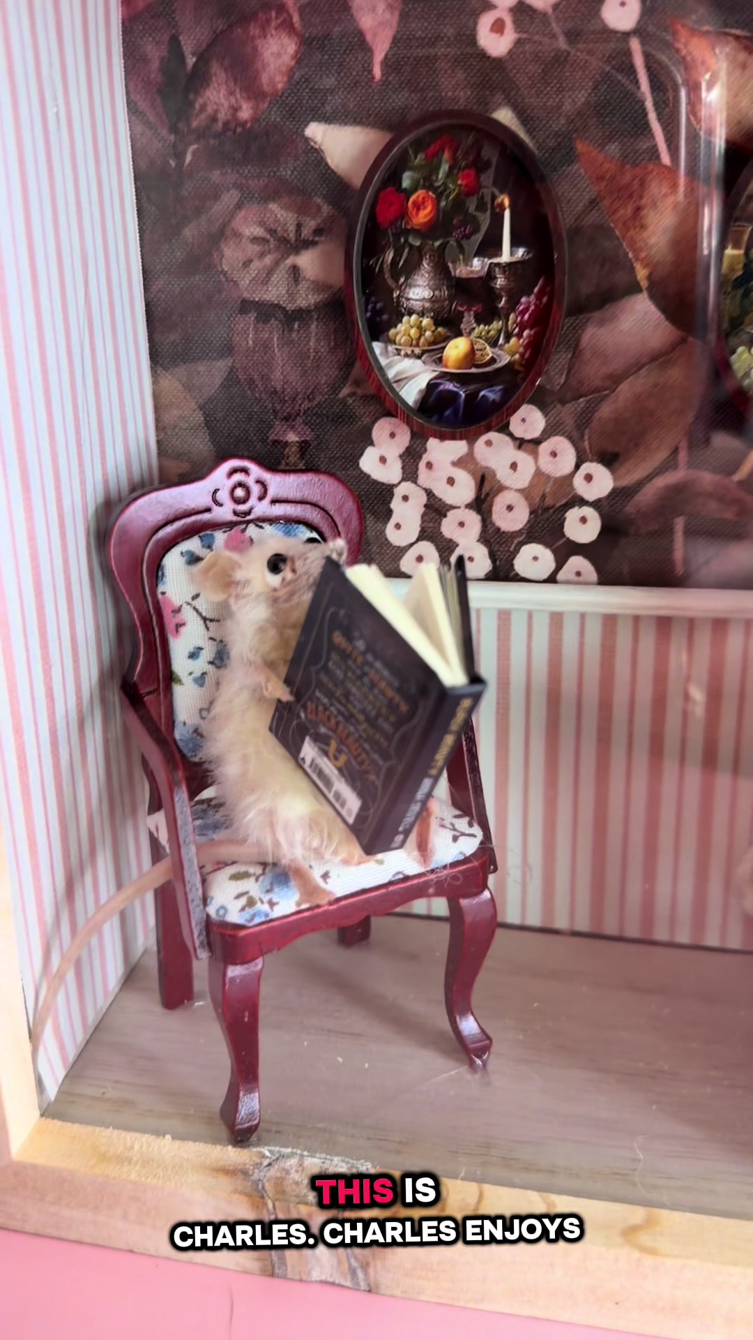 @Perfection&Oddities