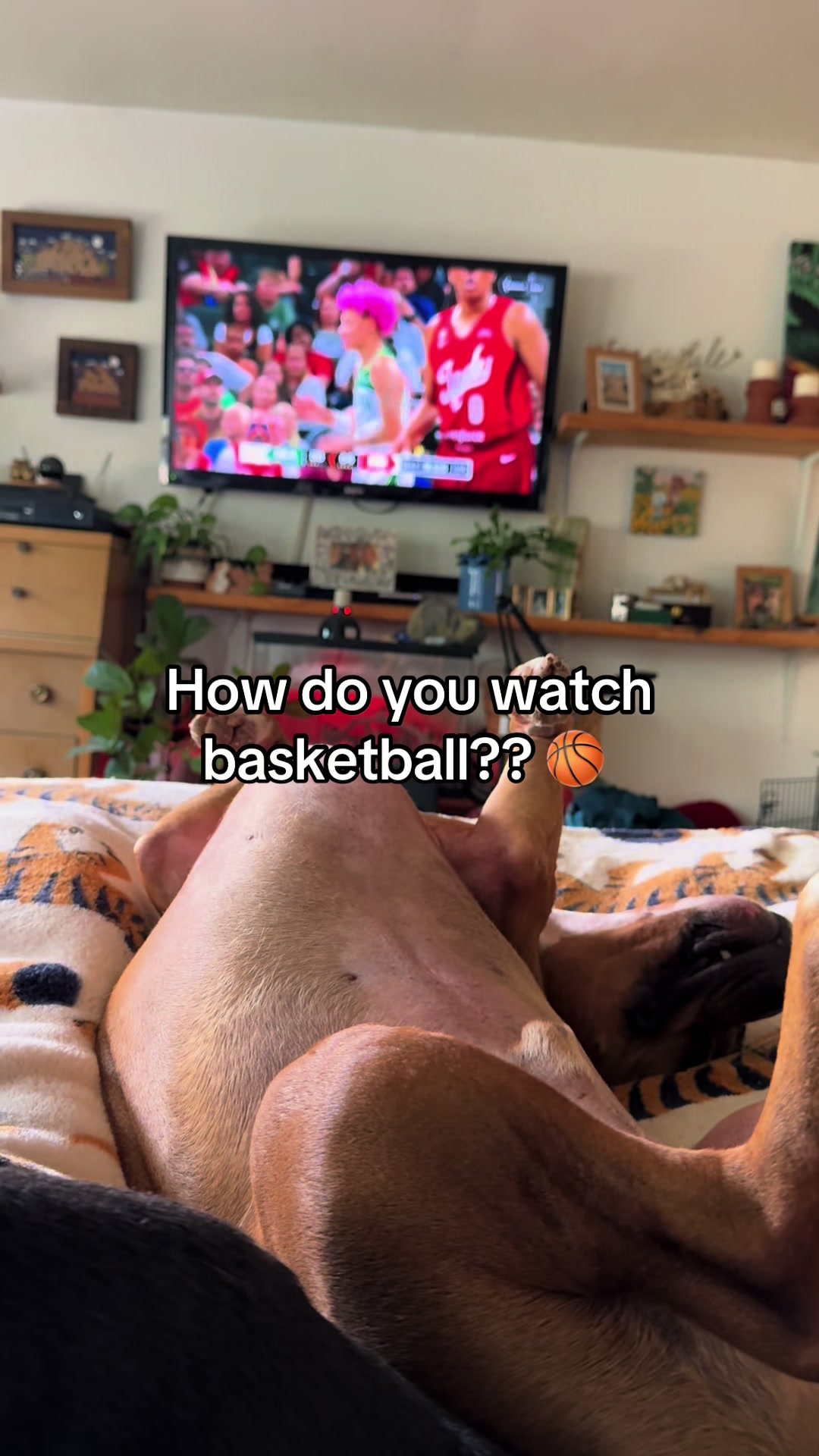 @Jordan & Amos 🐾