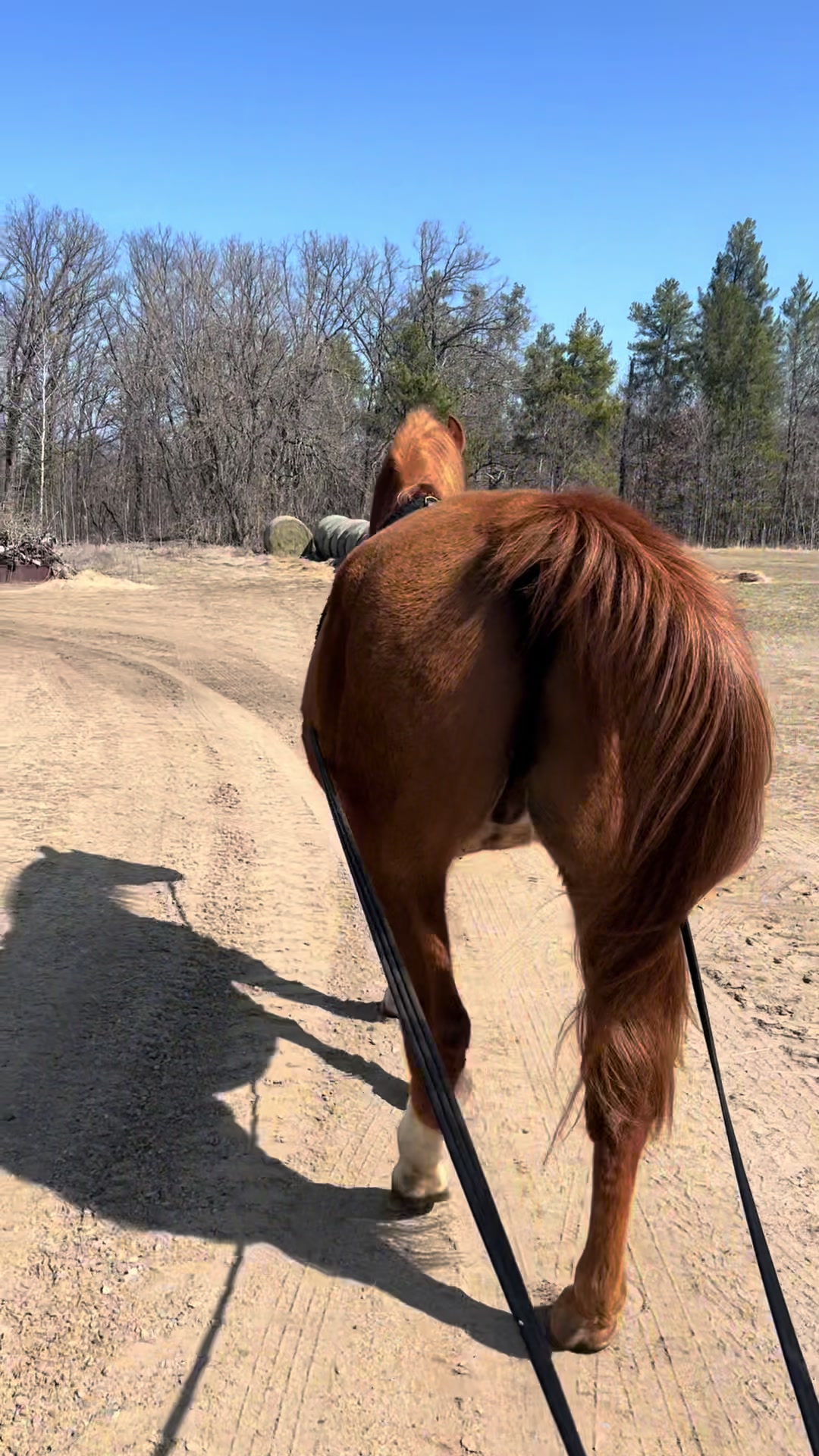 @Spirithorsecentermn