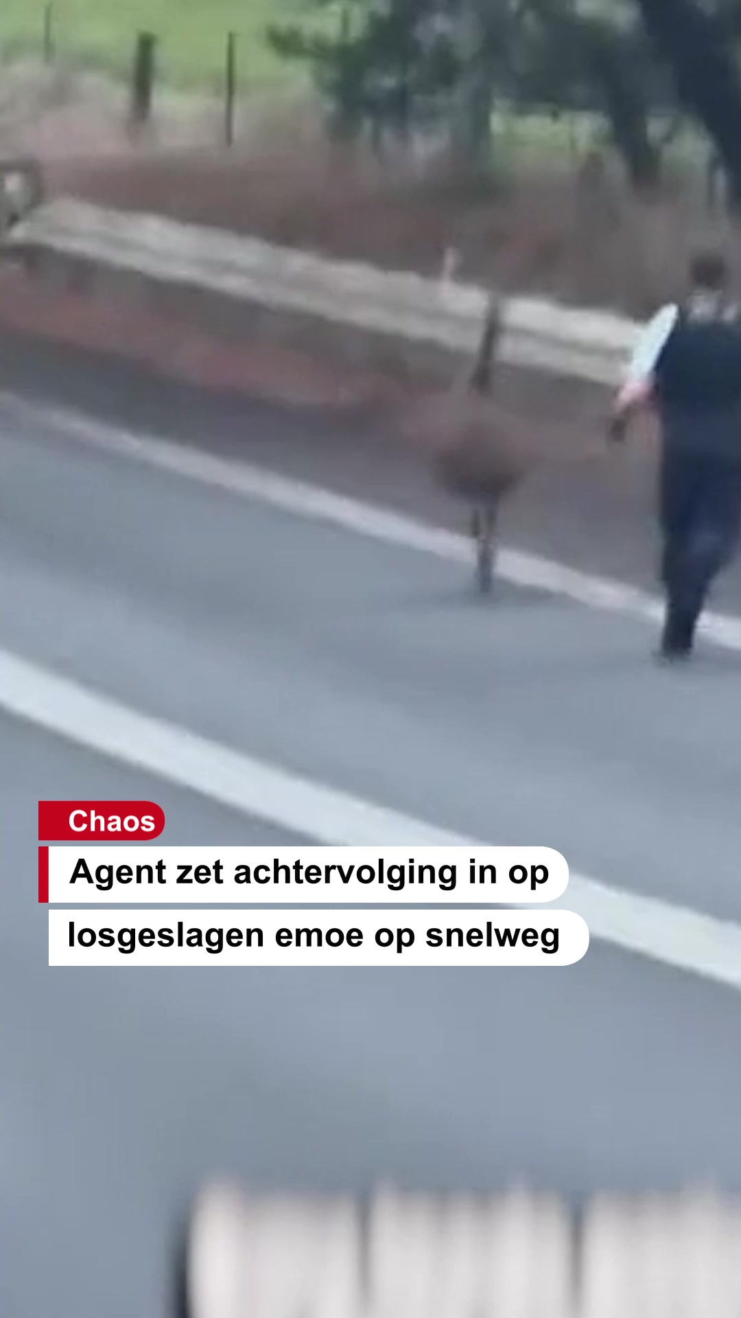 @De Stentor
