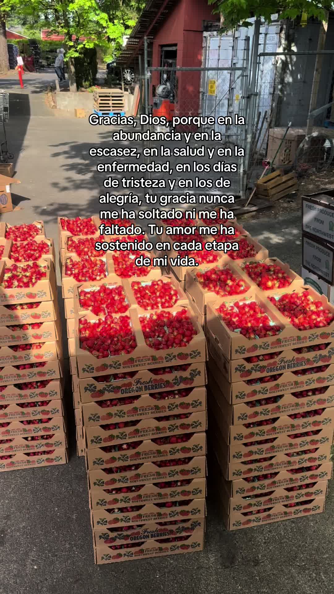 @pablocarbajal63