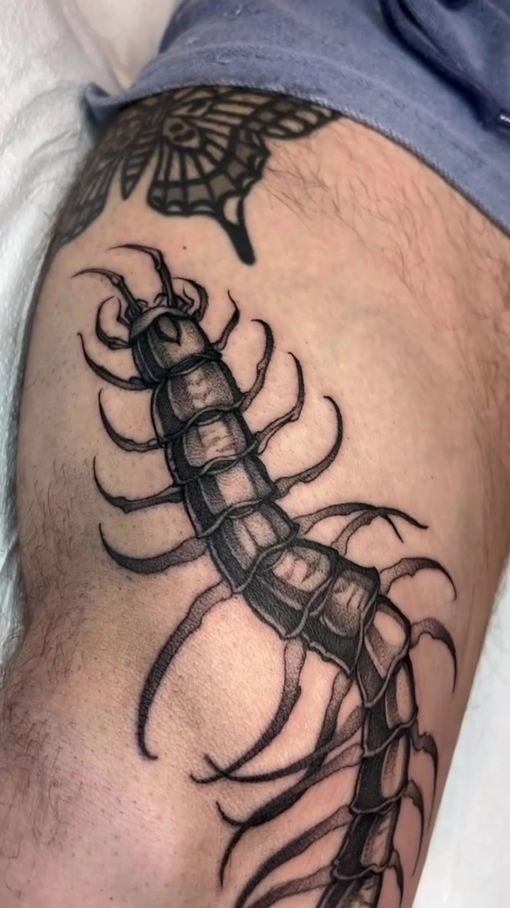 @TurnipGirl Tattoo