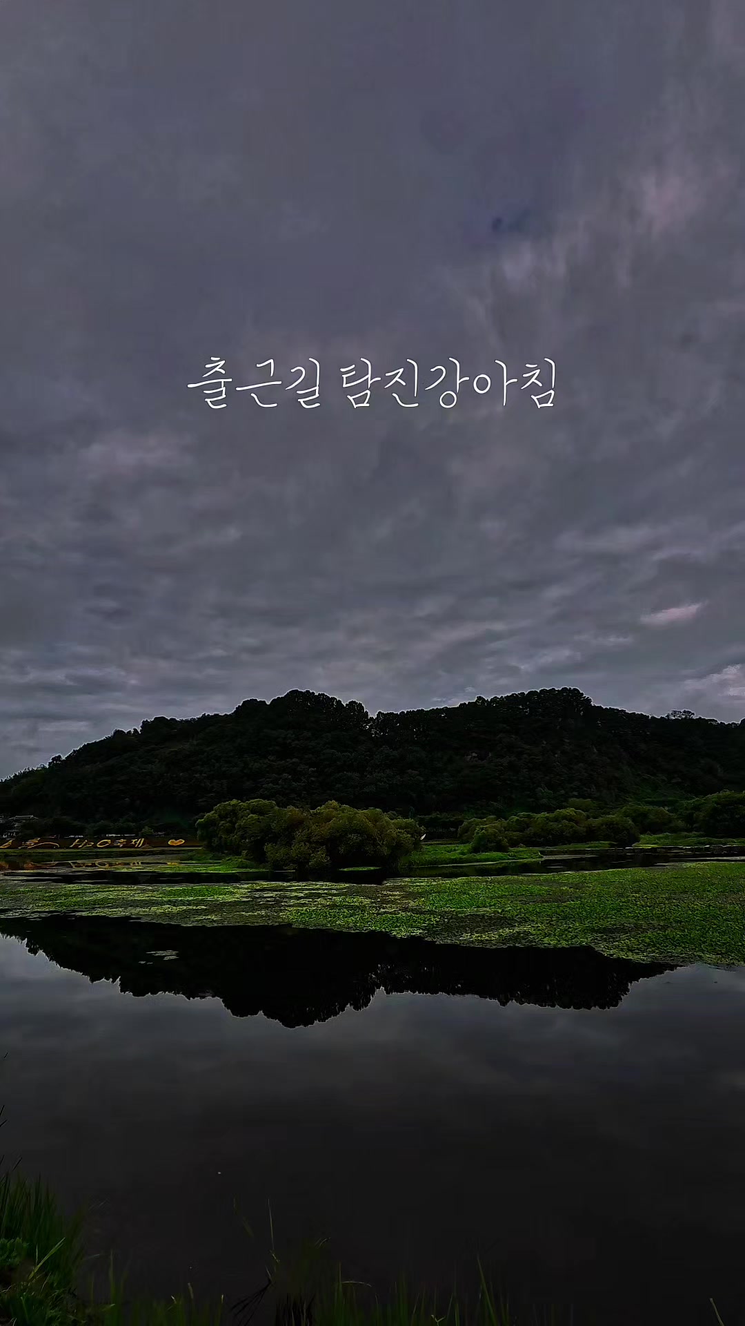 @유니