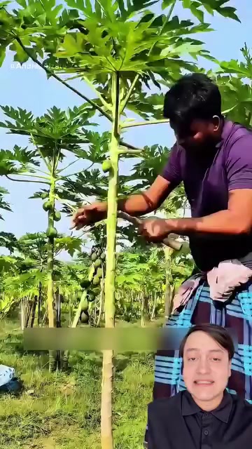 @La Leonera