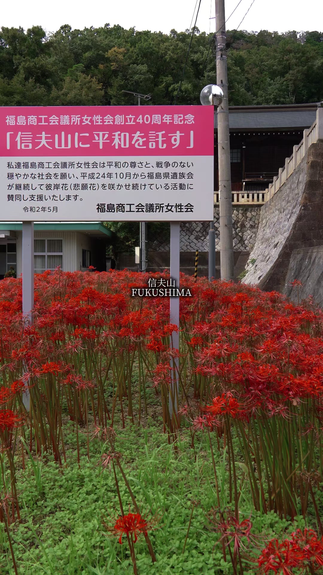 @tabi japan